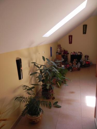 Hostal O Lar De Carmi�a