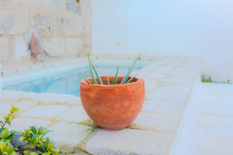 Hotel Coliving Add Livitum