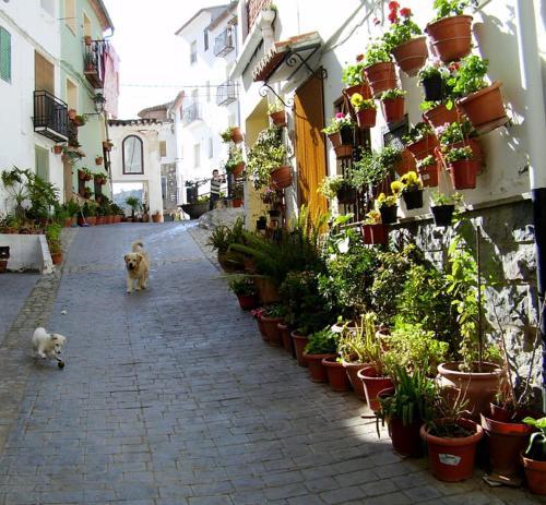 Bed & Breakfast Shar�qua
