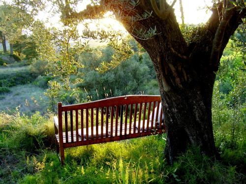 Bed & Breakfast Shar�qua