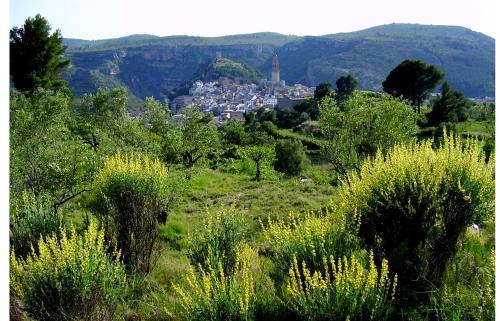 Bed & Breakfast Shar�qua