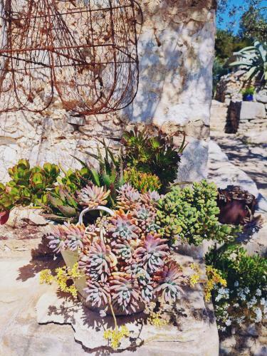 Apartment Garden, Korcula