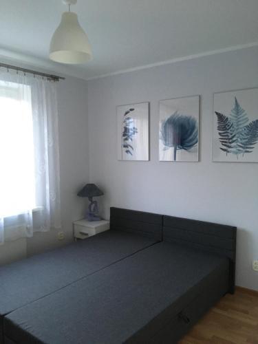Apartamento Pokoje U Asi