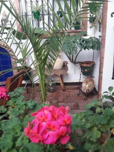 Apartamentos Jerez Centro