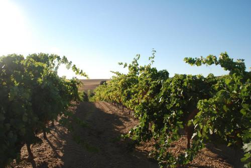 Hotel Rural Teso De La Encina