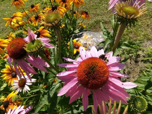 Kadariku Tourism Farm