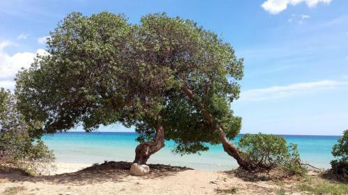 Maravola Home On The Beach, Parking & Wifi