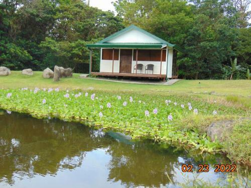 Apartamento Caba�a Ecolog�a Rodeada De Naturaleza