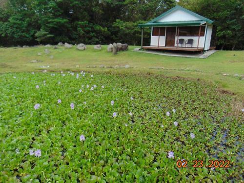 Apartamento Caba�a Ecolog�a Rodeada De Naturaleza