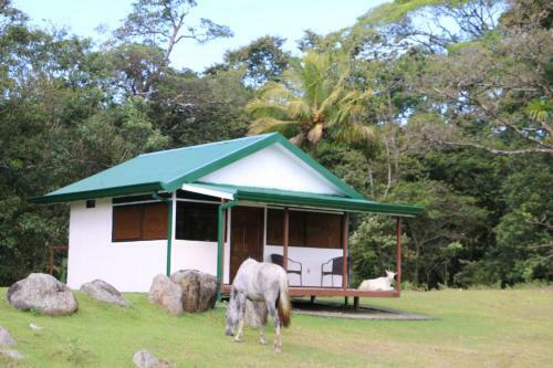 Apartamento Caba�a Ecolog�a Rodeada De Naturaleza