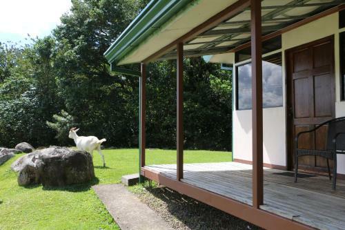 Apartamento Caba�a Ecolog�a Rodeada De Naturaleza
