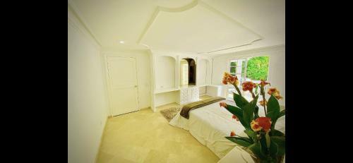 Villa Casa En El Poblado Independiente - San Sebastian