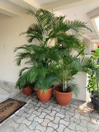 Apartamento Serenity Nest