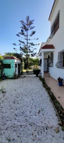 Hostal Magnifique Suite Avec Salle De Bain Et Terrasse