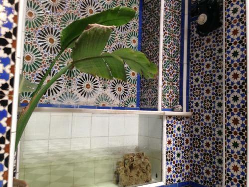 Riad Soul Of Tetouan