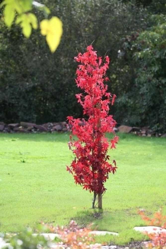 Relais Du Silence Hotel Rural Iribarnia