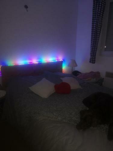 Apartamento Auron, 2 Pi�ces, Coin Montagne, 6 Couchages