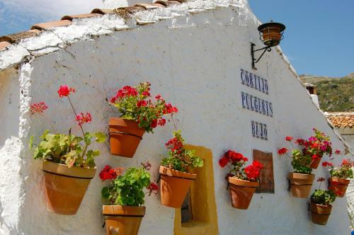 Villa Cortijo Pulgar�n Bajo