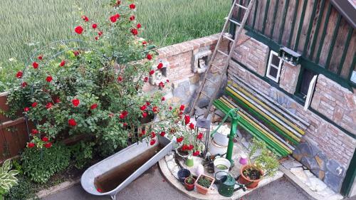Bed & Breakfast G�stezimmer Victoria