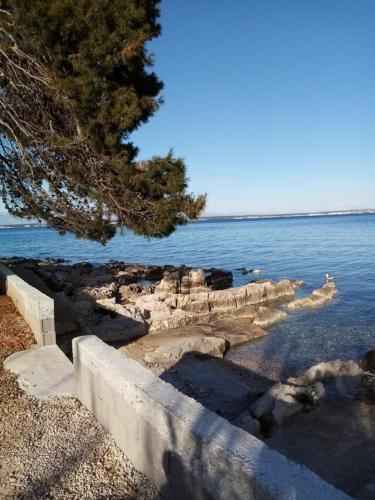 Apartments By The Sea Ugljan - 19580