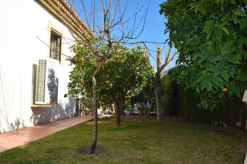 Andalusian Villa & Pool