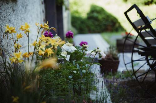 Bed & Breakfast Lawendowa Stajnia