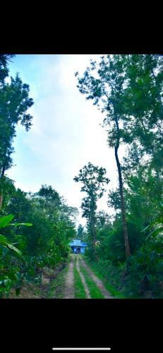 Apartamento Vedaanti Farm Stay