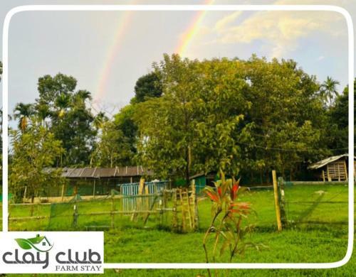 Clay Club Farm Stay