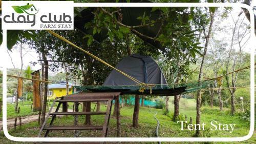 Clay Club Farm Stay