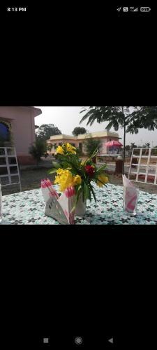 Hotel Oyo 87032 Haveli Resort