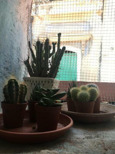 Apartamento 15 Via Giordano