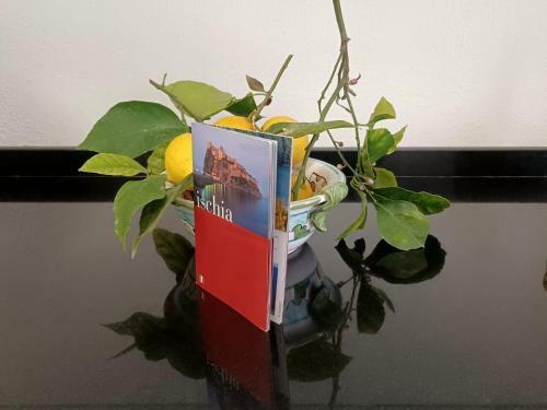 Apartamento Casetta Cirant�