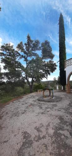Campoamor