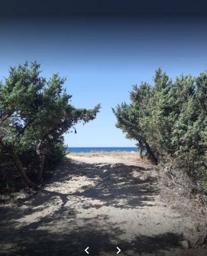 Agricampeggio La Pineta