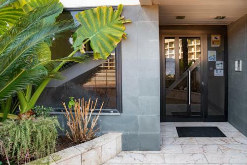 Apartamento Parrot`s House Fenals