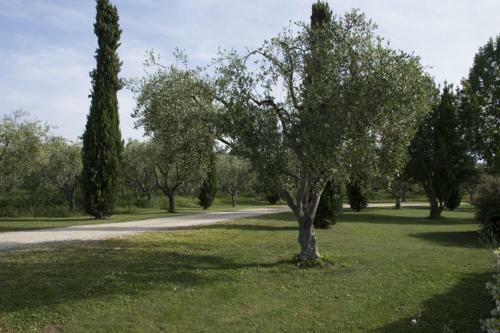 Apartamento Agriturismo Scuderie Della Contea