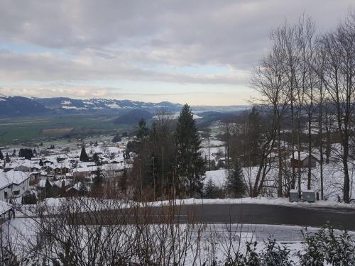 Holiday Home Ferienhaus Gommiswald