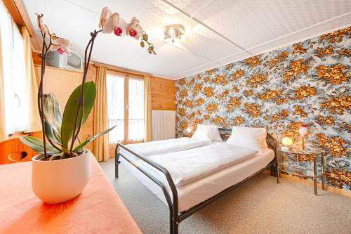 Hostal Pension Aaron Am See