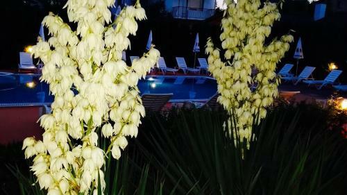 Family Hotel Kontesa