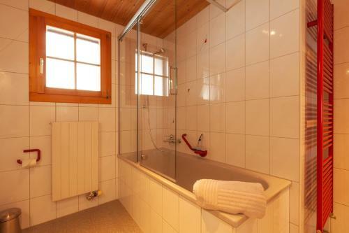 Apartamentos Chalet Schwendiboden