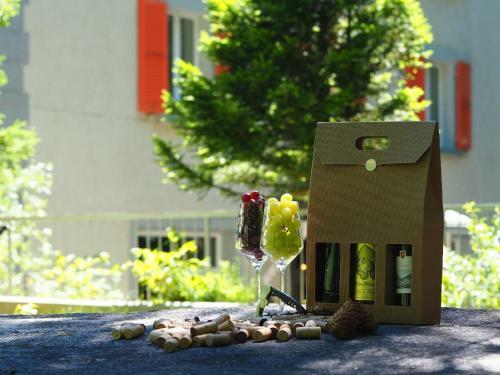 Hotel H�tel Les Sources Des Alpes