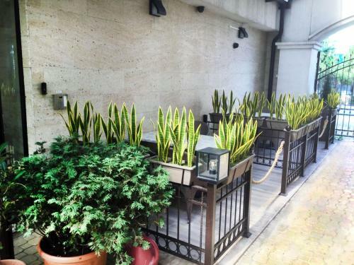 Apartamento Stamopolu Lux Free Parking