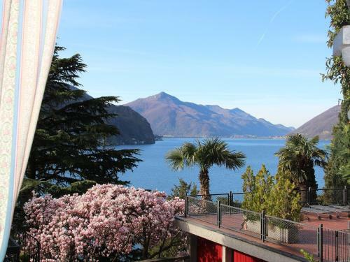 Apartamentos Garden Olive Dog Friendly