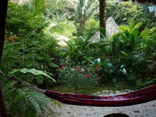 Hotel El Peque�o Gecko Verde