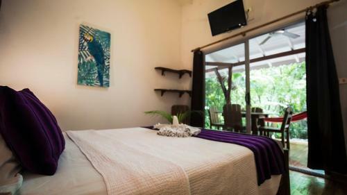 Hotel El Peque�o Gecko Verde