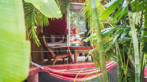 Hotel El Peque�o Gecko Verde
