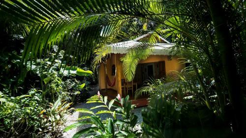 Hotel El Peque�o Gecko Verde