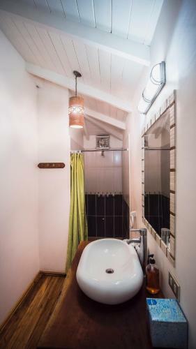 Hotel El Peque�o Gecko Verde