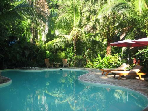 Hotel El Peque�o Gecko Verde