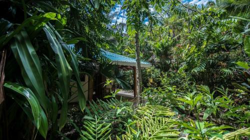 Hotel El Peque�o Gecko Verde